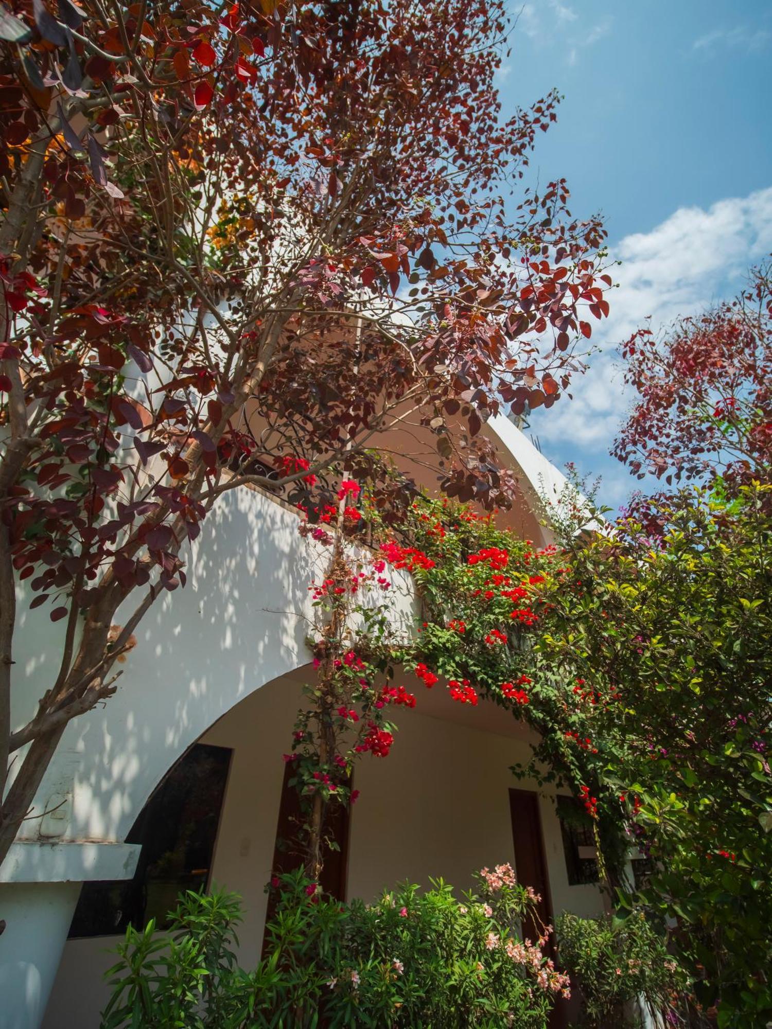 Casa Hotel Mamaluna Lunahuaná Exterior foto